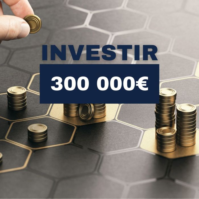 Combien rapportent 300 000 euros ?