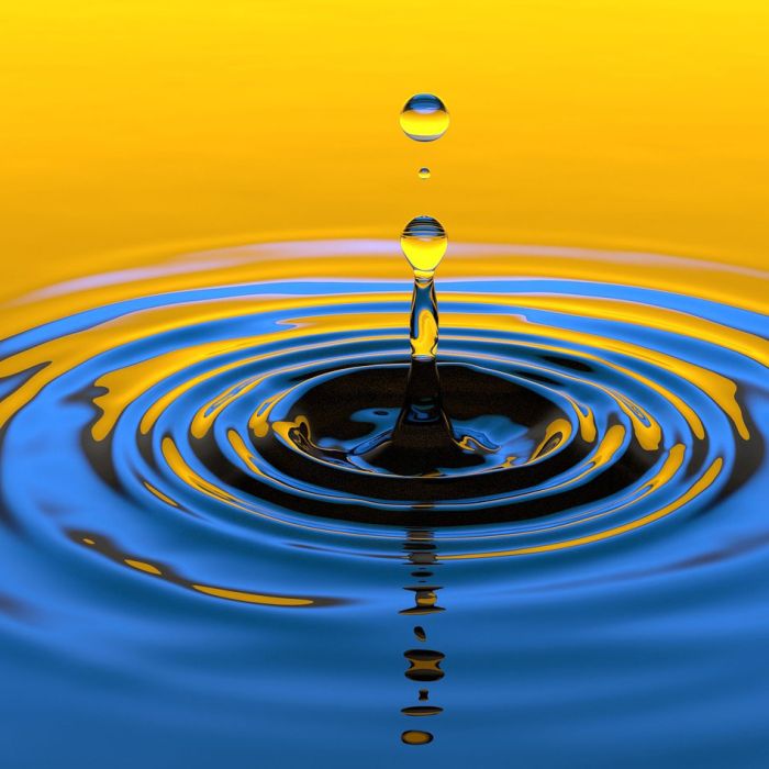 Les meilleurs placements liquides en 2025